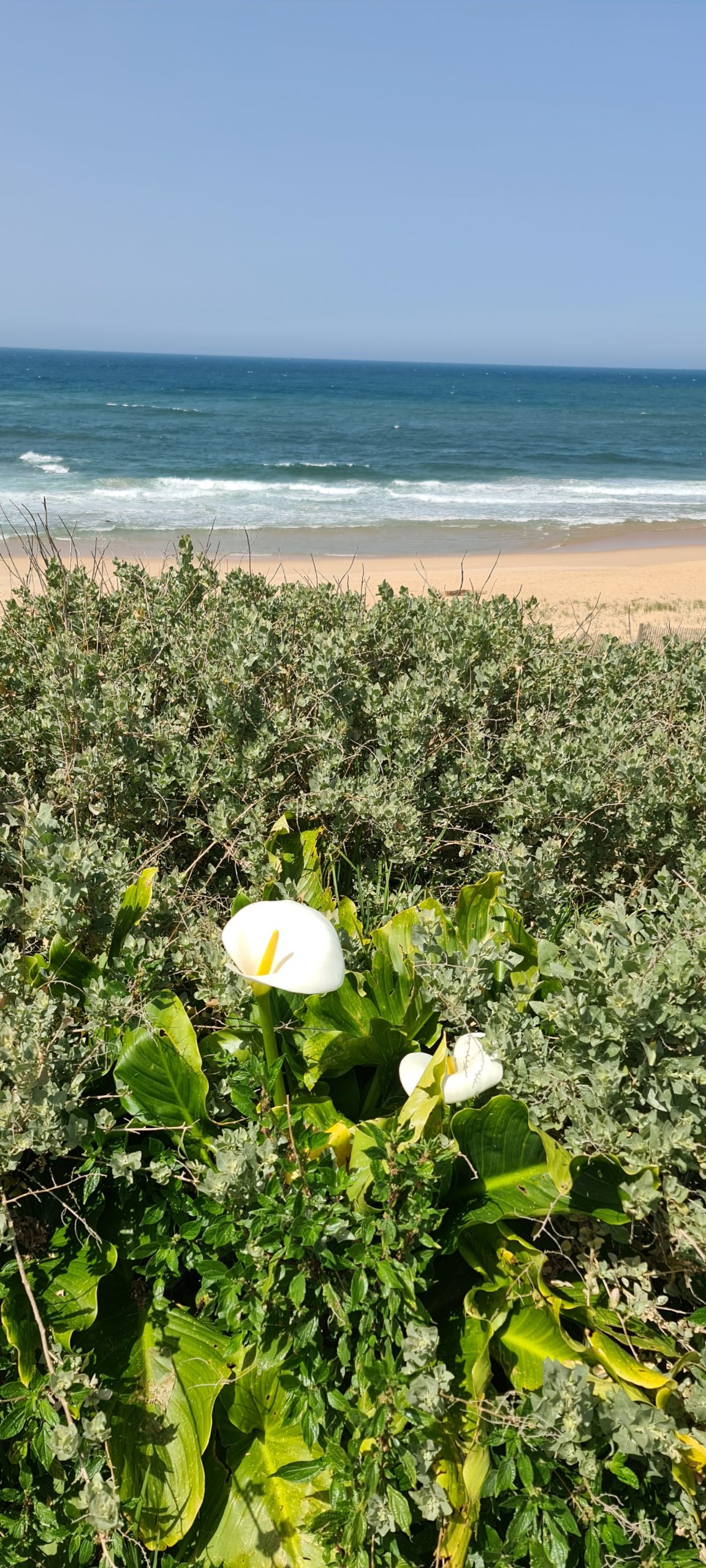 20240415 122649 scaled albergue | camino | porto