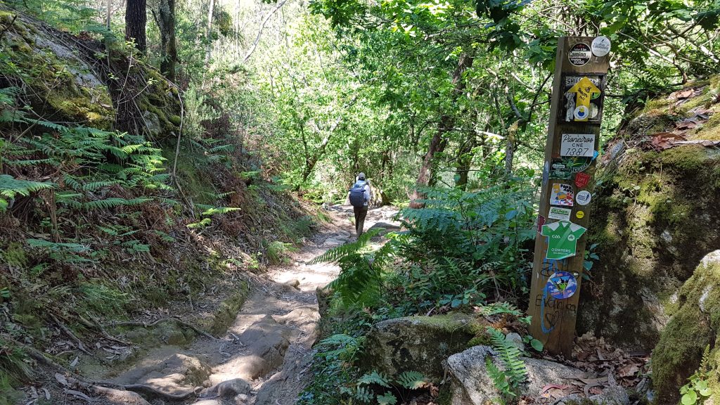 20240417 151037 albergue | camino | portugal