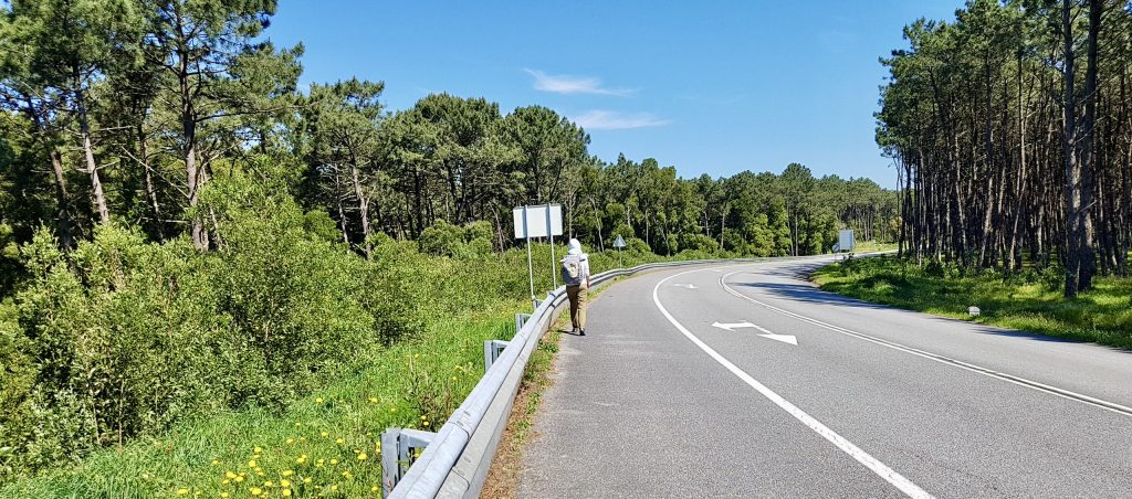 20240419 125322 e1775932629347 camino | hispaania | laevareisid