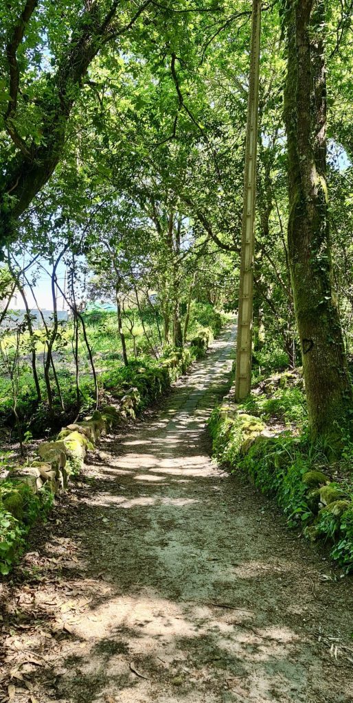 20240419 141433 scaled e1775928773514 camino | hispaania | laevareisid