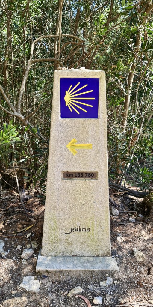 20240419 142633 camino | hispaania | laevareisid