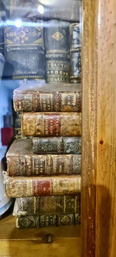 20240419 192713 camino | hispaania | laevareisid