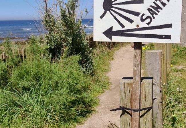 2391 scaled e1775151792127