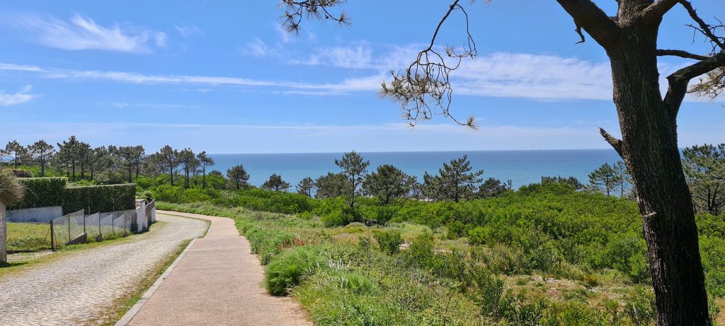 Rannatee, rohelus ja meri.